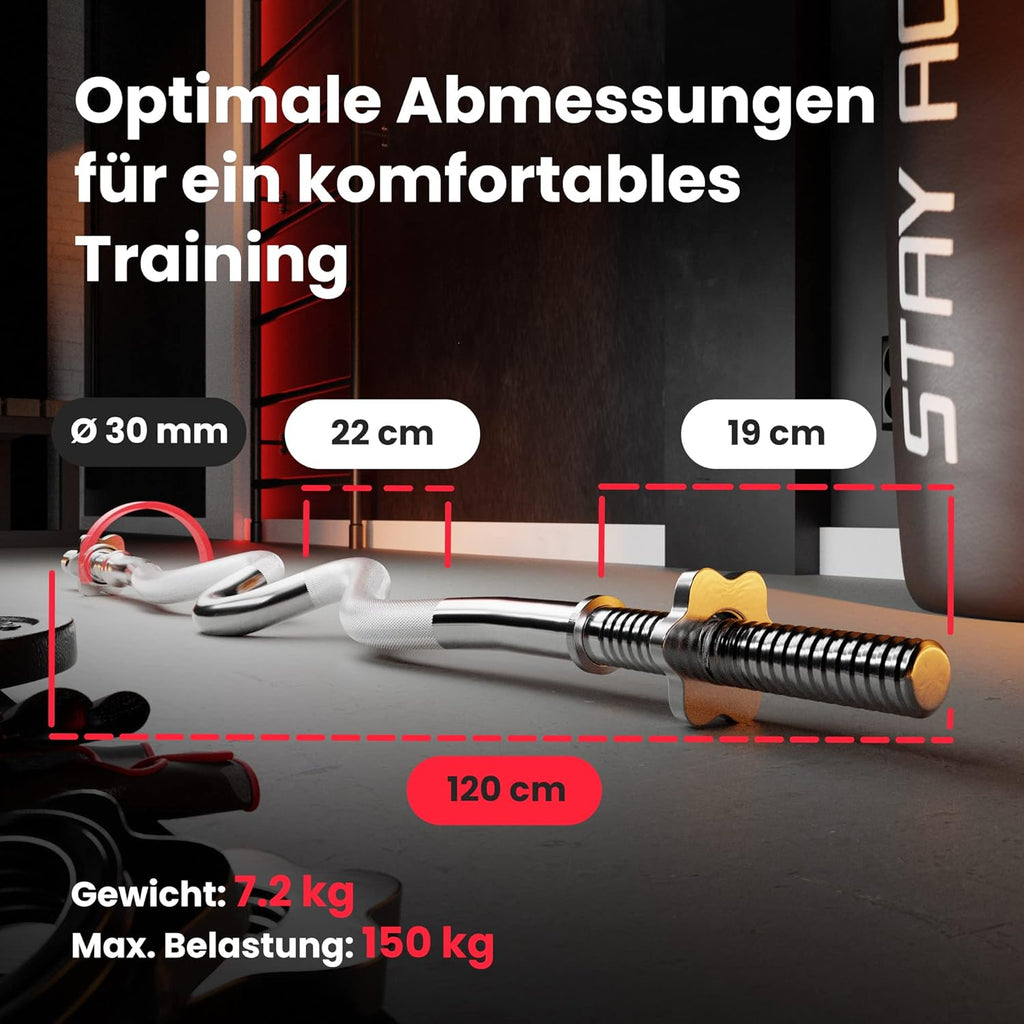 Klappbare Hantelbank mit Gewichten, Curlpult, Butterfly und Beincurler ✨